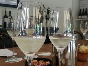 Sauvignon Blanc