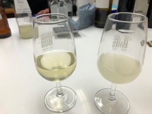 Fume Blanc and sauvignon blanc samples